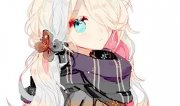 动漫女生的,梦幻般的青春风采