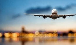 飞机吃瓜最新事件爆料,揭秘航班上的惊人一幕