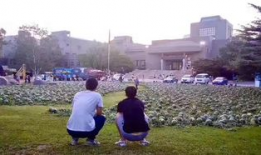 长垣吃瓜事件爆料入口,爆料入口背后的真相与争议